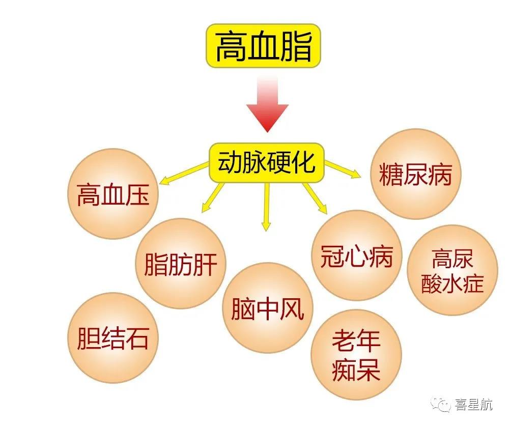 關于高血壓、糖尿病患者，9月1日起城鄉居民醫保門診用藥保(圖3)